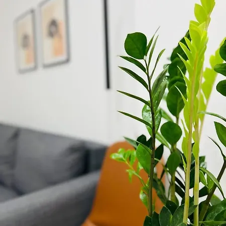Apartment Likourgou Dialog Number 1 Vipgreece *